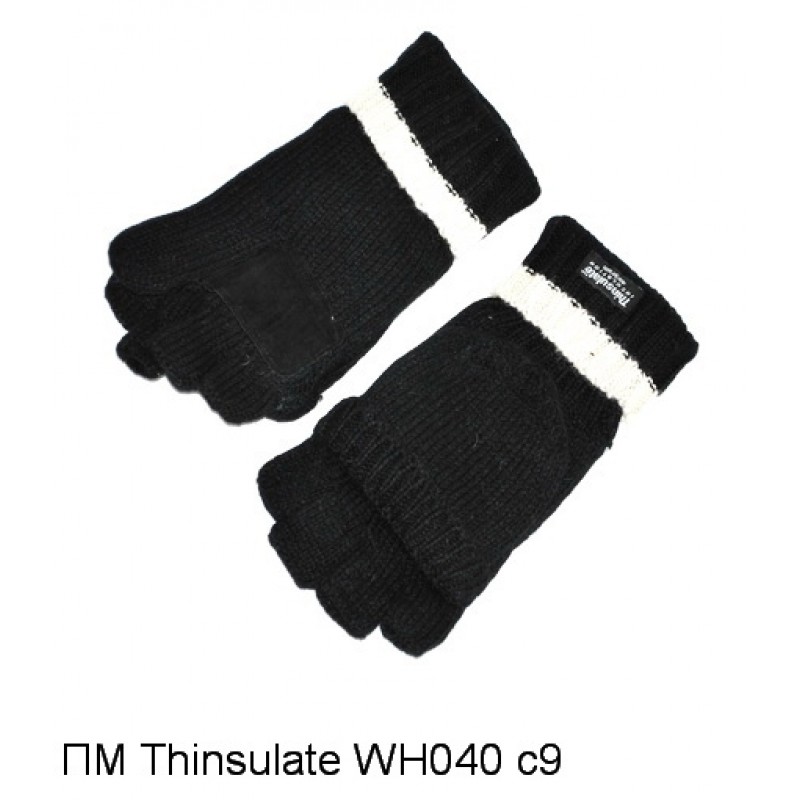  Thinsulate WH040 C9